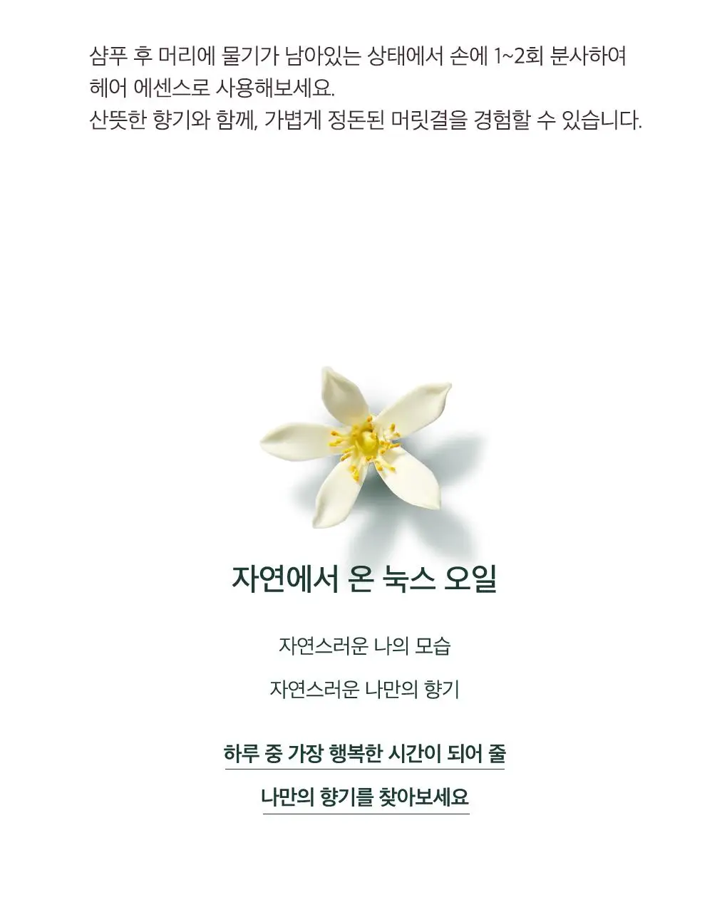 [화잘먹오일프렙]눅스 윌 프로디쥬스 미니오일 기프트 2종 기획 상세페이지 22